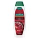 Palmolive Szampon do włosów Brilliant Colour 350ml