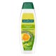 Palmolive Szampon do włosów Fresh & Volume 350ml